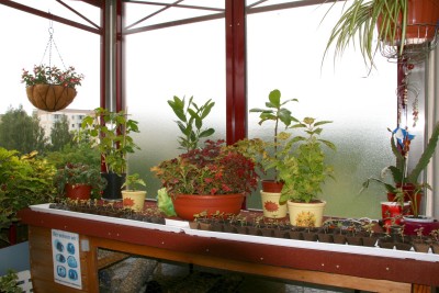 balkon5.jpg