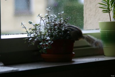 IMG_2475_1024x683.jpg