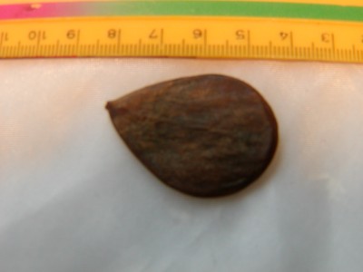 P1010216.JPG