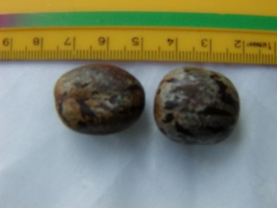 P1010207.JPG