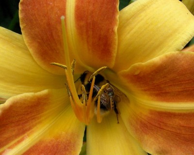 ganz schön eng w.jpg