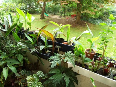 DSCF4571.JPG
