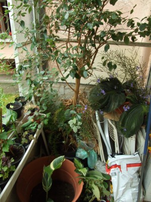 DSCF4570.JPG