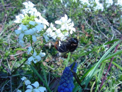 DSC00008.JPG