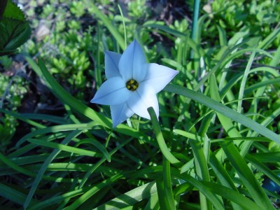 DSC00004.JPG