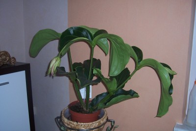100_4524.JPG