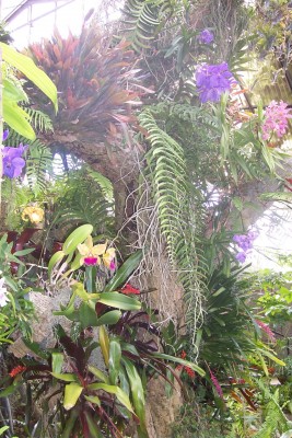 OrchidGarten_09.jpg