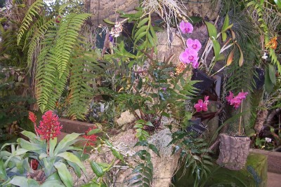 OrchidGarten_08.jpg