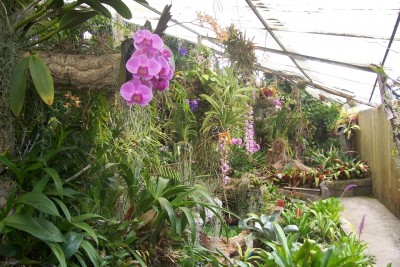 OrchidGarten_07.jpg
