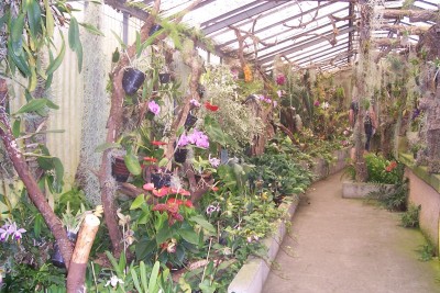OrchidGarten_05.jpg