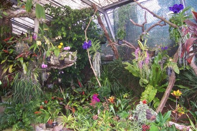 OrchidGarten_01.jpg