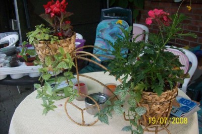100_1290.jpg