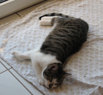 2007.11.04 Hubsi 1.JPG