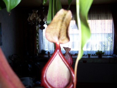 100_1389.JPG