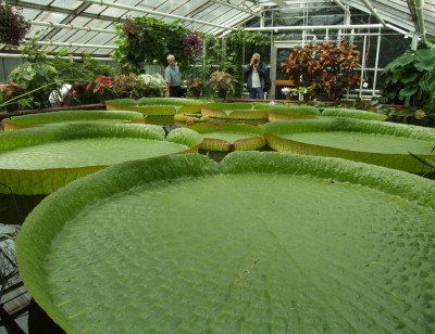 DSCF4596.JPG