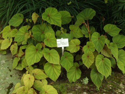 DSCF4646.JPG