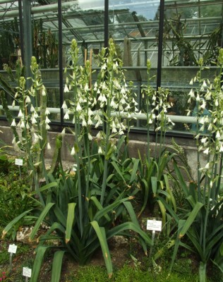 DSCF4644.JPG