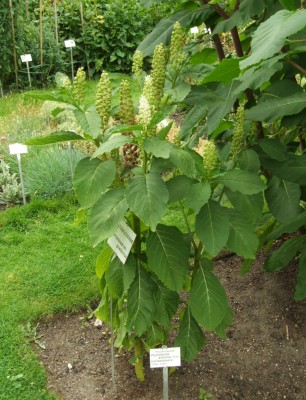 DSCF4679.JPG
