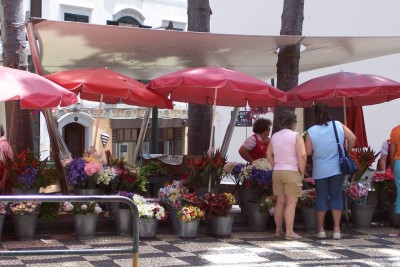 funchal_blumenstand.jpg