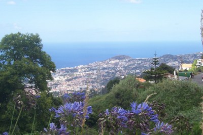 blick_auf_funchal.jpg