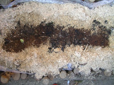 SANY0008.JPG