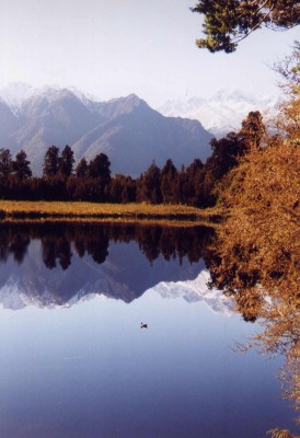 Lake Matheson 2 - richtig rum.jpg