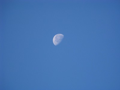 100_1424 (Custom).jpg