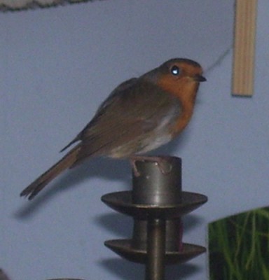 Bild 233m.jpg