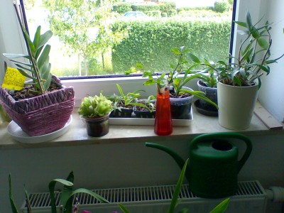 Arbeitszimmer.JPG