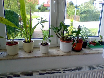 Stube2.JPG