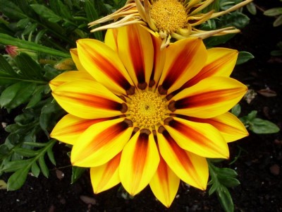 tn_SDC10016 - Kopie.JPG