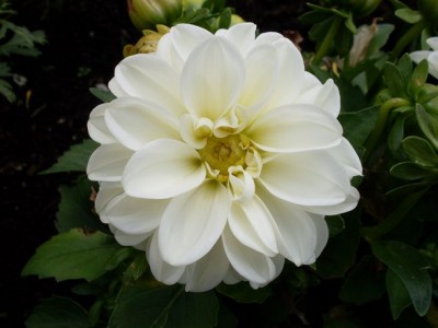 tn_SDC10015 - Kopie.JPG