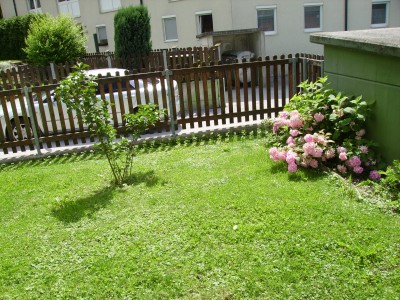Pflanzen 039.jpg