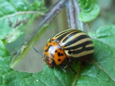 DSCF5236.JPG