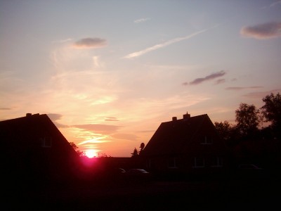 Tiere und Wolken 010.jpg