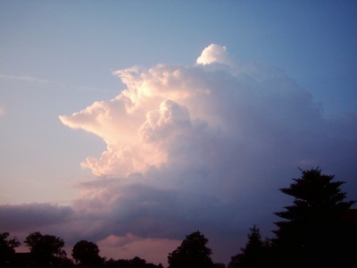 Tiere und Wolken 011.jpg