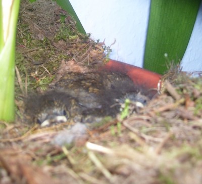 Bild 270m.jpg