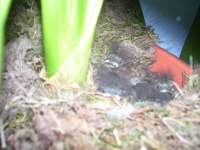 Bild 256m.jpg