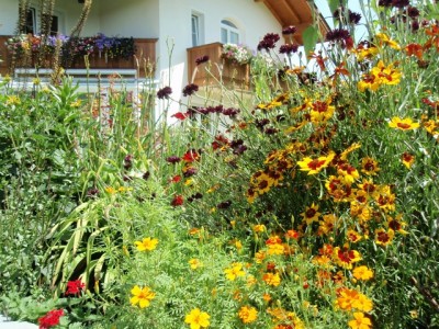 sommerblumen1.jpg