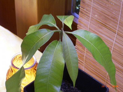 RIMG0003.jpg