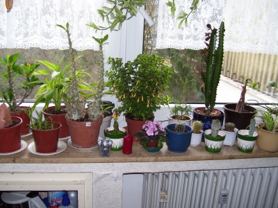 100_0699.jpg