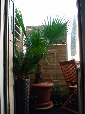DSC00167.JPG