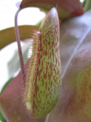 Test1.JPG
