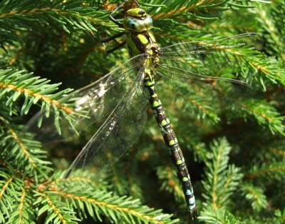 DSCF5126.JPG