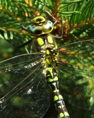 DSCF5120.JPG