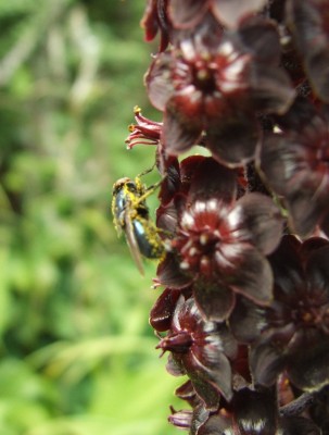 DSCF5080.JPG