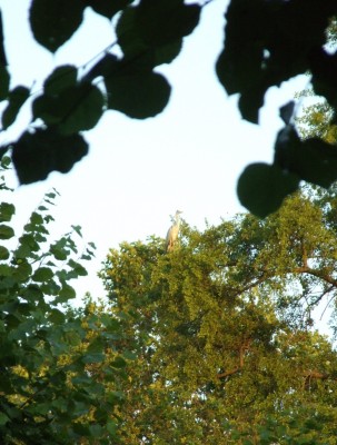 DSCF4356.JPG
