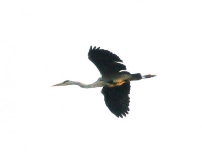 DSCF4354.JPG