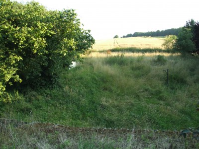 DSCF5171.JPG