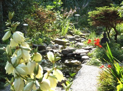 DSCF4489.JPG